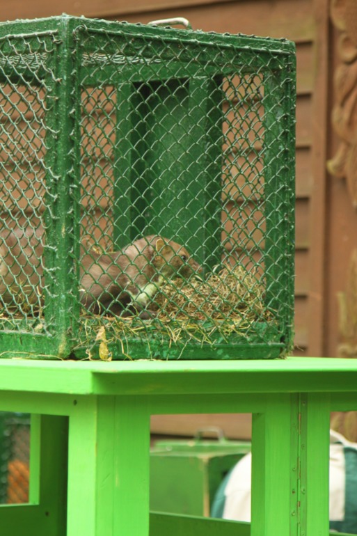 ЭПЦ «Царская пасека»