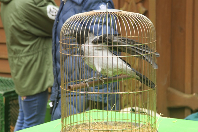 ЭПЦ «Царская пасека»