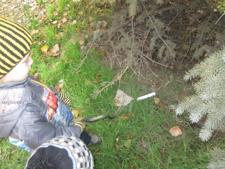 И снова путешествие с Дашей