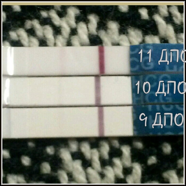 92c96e3463f93e5f9c498736e8638401.jpg