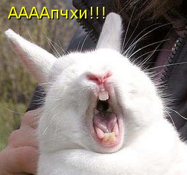 637adc0a94c6fa95fb08bc87d90c16e4.png