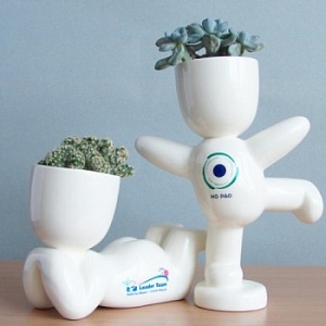 Необыкновенные горшочки