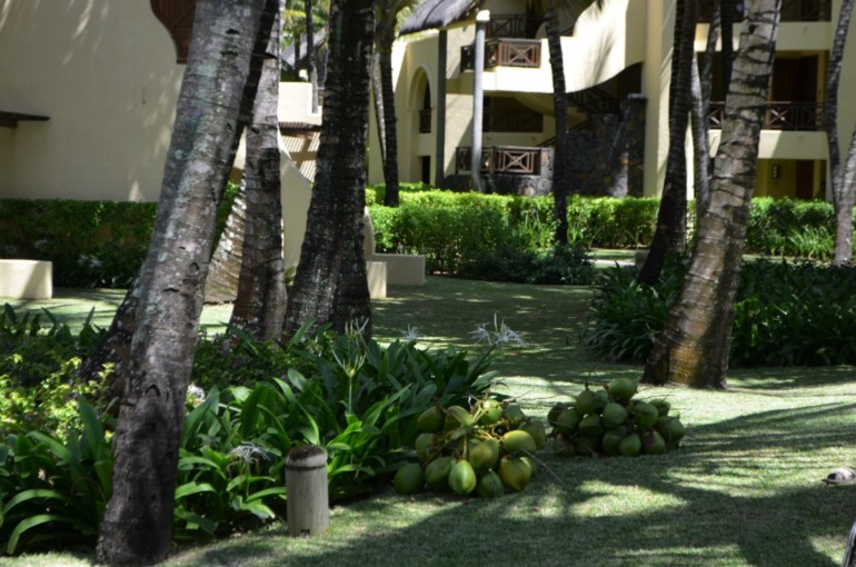 о. Маврикий, отель Constance Belle Mare Plage 5*