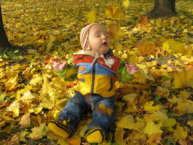 Выбираем победителя осеннего фотоконкурса!