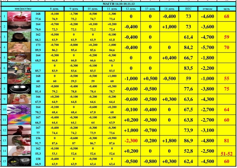 МАГГИ старт 14.10-10.11.13 (15 день)