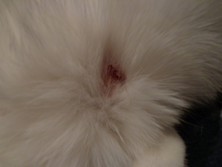 Девочки помогите советом, может у кого такое было???