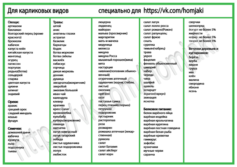 Можно ли хомякам есть болгарский перец? Пищевая …