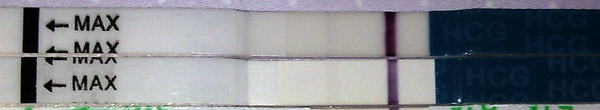 f51454de94a7cc1b5026376b3318c6cb.jpg