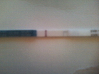 7 ДПО, БТ 36,9, ТЕСТ