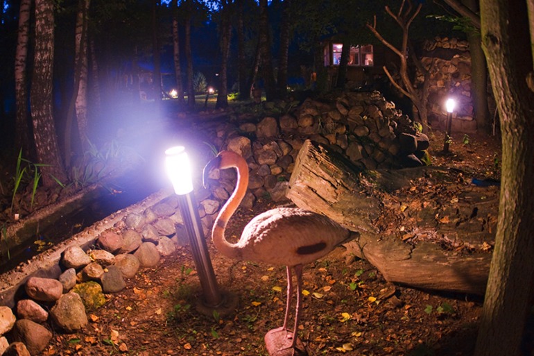 сдам дом посуточно для проведения др