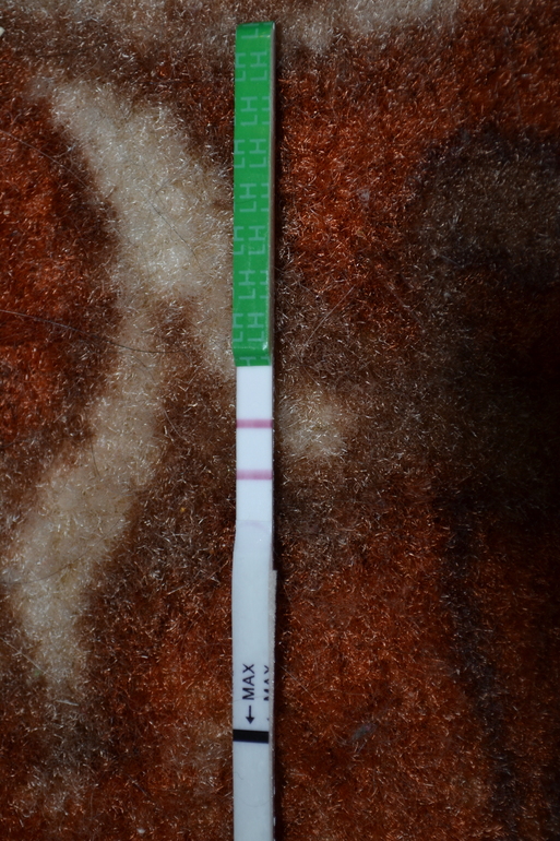 d24fe3bf50ae2ae6cdfffbb2128ed0b2.jpg