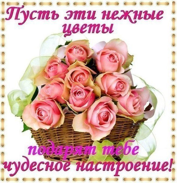 2ff90bc19b77c36e7e219658793e4156.jpg