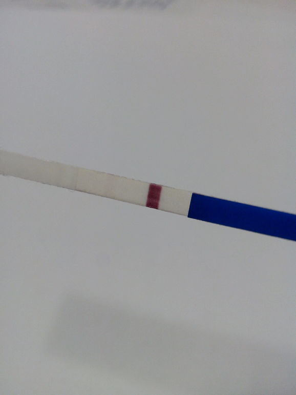 bcdde7ca6208fb1eaa061447917f8247.jpg