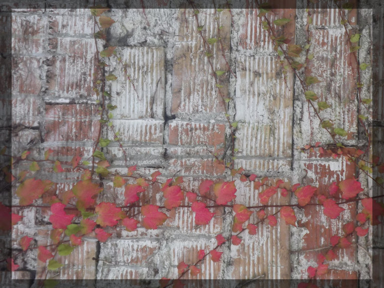 Болезнь листьев