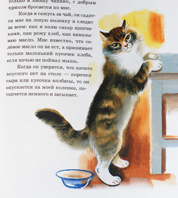 Основная мысль текста про кота. Пришвин кот. Рассказ Пришвина кот. Рассказ про кота.