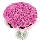 fe02f230ded38ee50525cc6c1b721f6c.jpg
