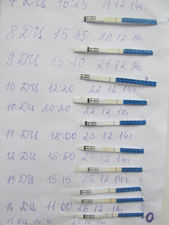 138c674021e65937d438c11bd396f4d5.jpg