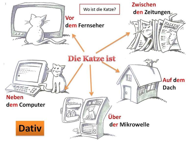 Wo ist sie. Katze по немецки. Грамматика с котом по немецкому языку. Немецкая грамматика wo ist der. Wo ist die Katze картинки для детей.