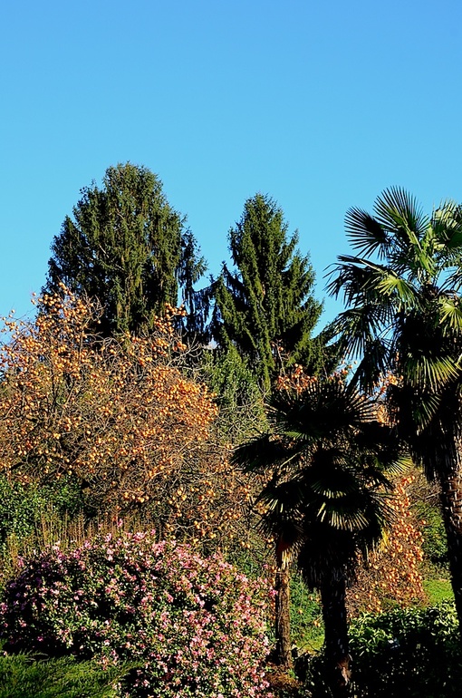 Oзеро Орта (Италия). Ноябрьские прогулки.