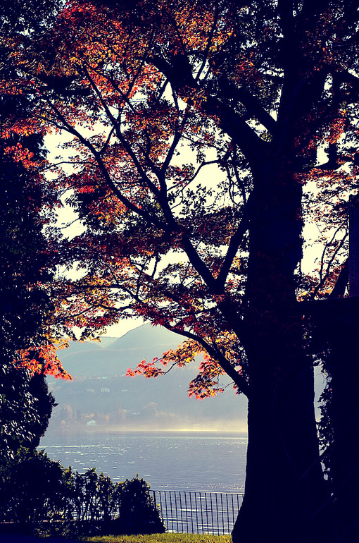 Oзеро Орта (Италия). Ноябрьские прогулки.