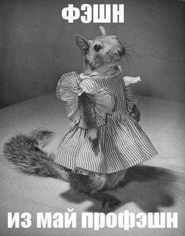 Полный фЭшн:)