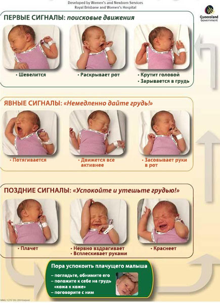 24db52f4784b29f647d74d72c945fd49.jpg