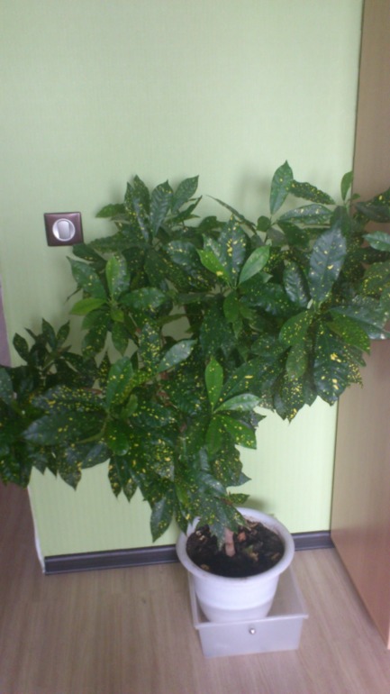 Ну и я похвастаюсь))