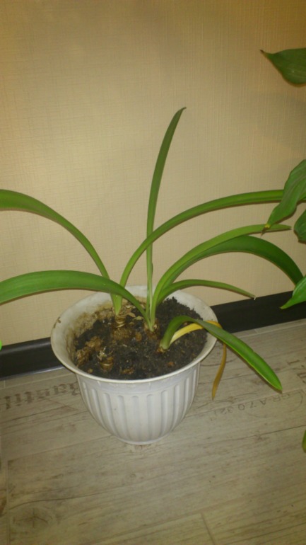 Ну и я похвастаюсь))