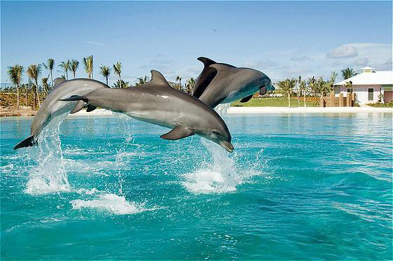 Где отдохнуть с  детьми на школьных каникулах?