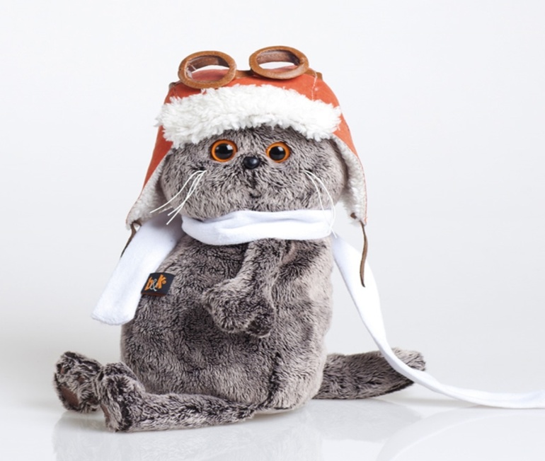 Знаменитый кот БАСИК