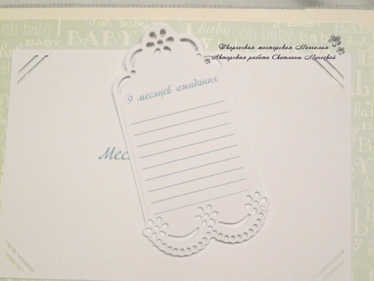 Большой фотоальбом для Матвея и папка для документов