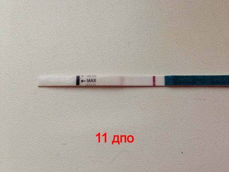 Тест утро 11 дпо посмотрите ???