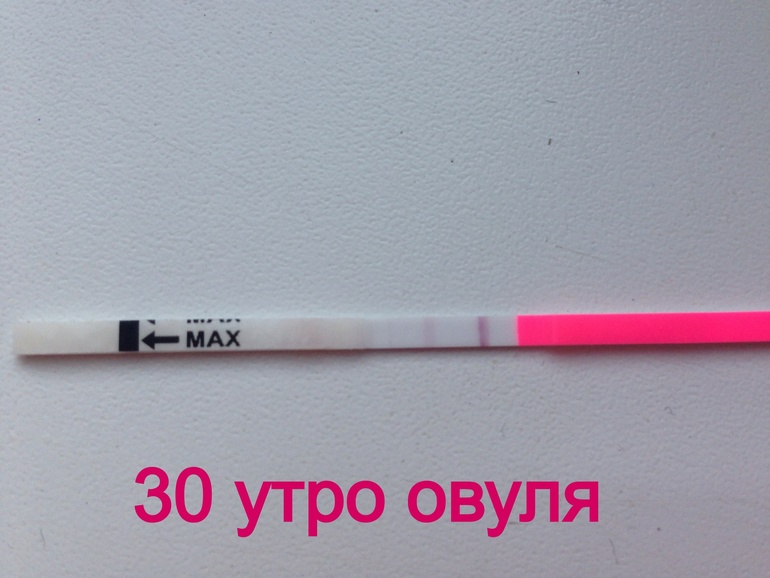 Вот , и я наконец- то решила написать . Я это сделала!