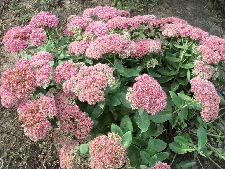 С  октябрём!! ФМ