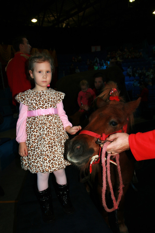 Цирк огромных зверей в Сокольниках. Отзыв)))