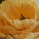 Сорванный ДР! Или осторожно РИММА (теперь ТортикНаЗаказ)