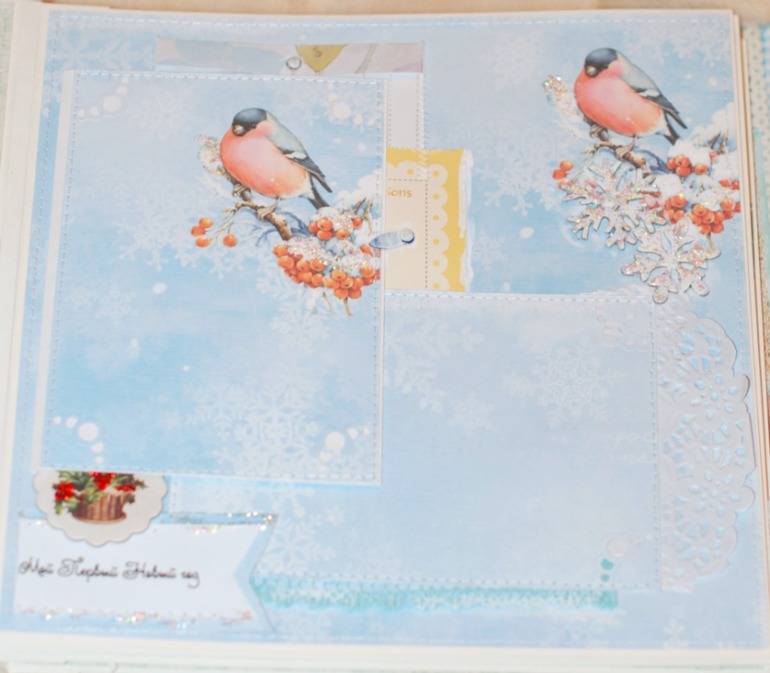 Большой и нежный альбом для мальчика на первый год.