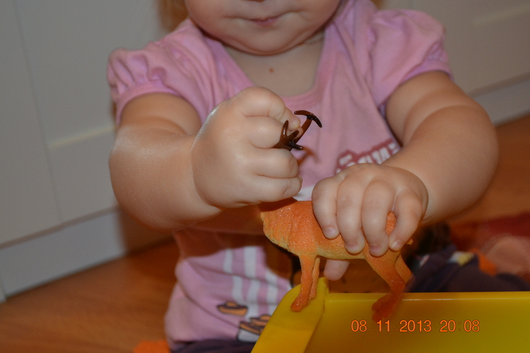 ТН ДИКИЕ ЖИВОТНЫЕ