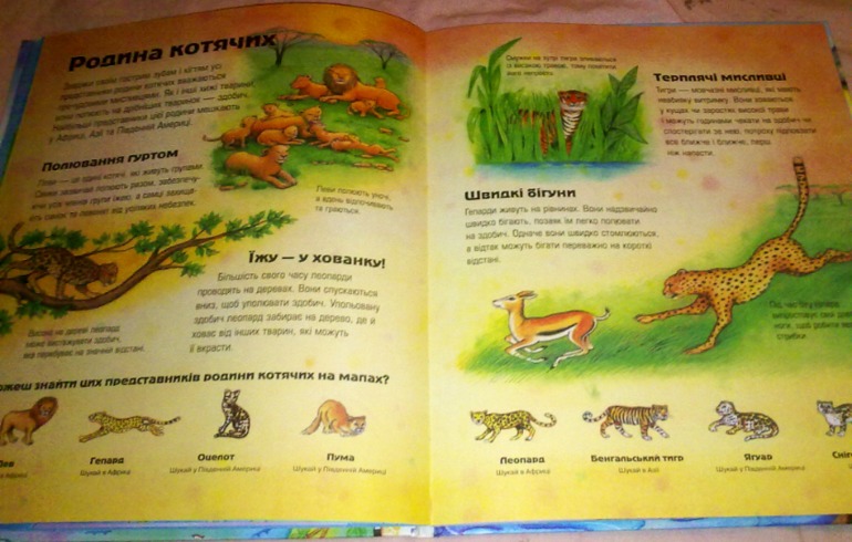 К зиме и не только