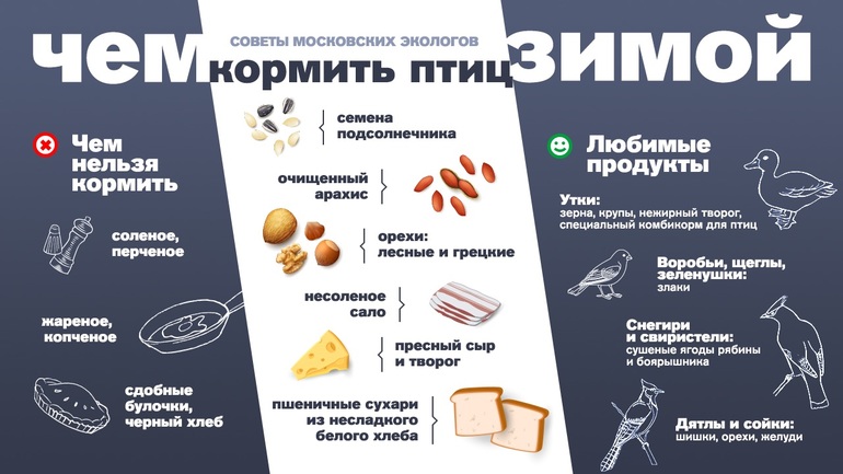 Можно ли кормить птиц кашами