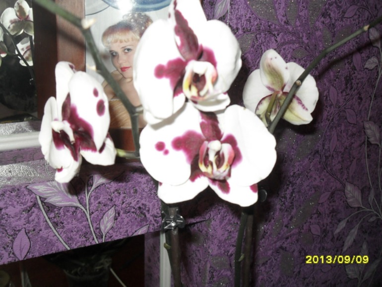 МОЯ спаленка