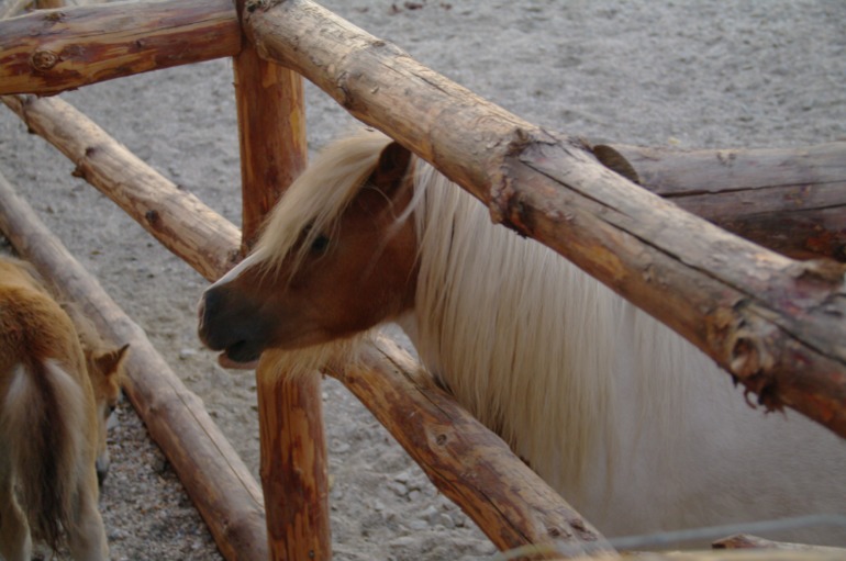 Бердянск, как и где правильно отдыхать!