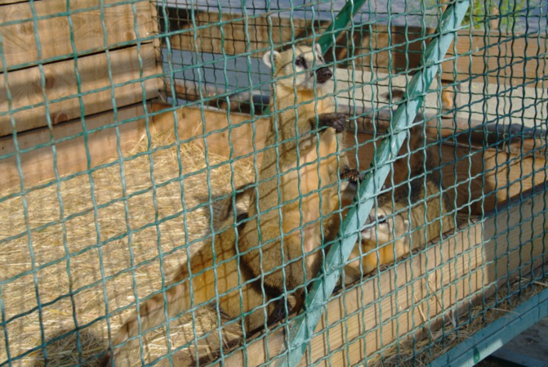 Бердянск, как и где правильно отдыхать!