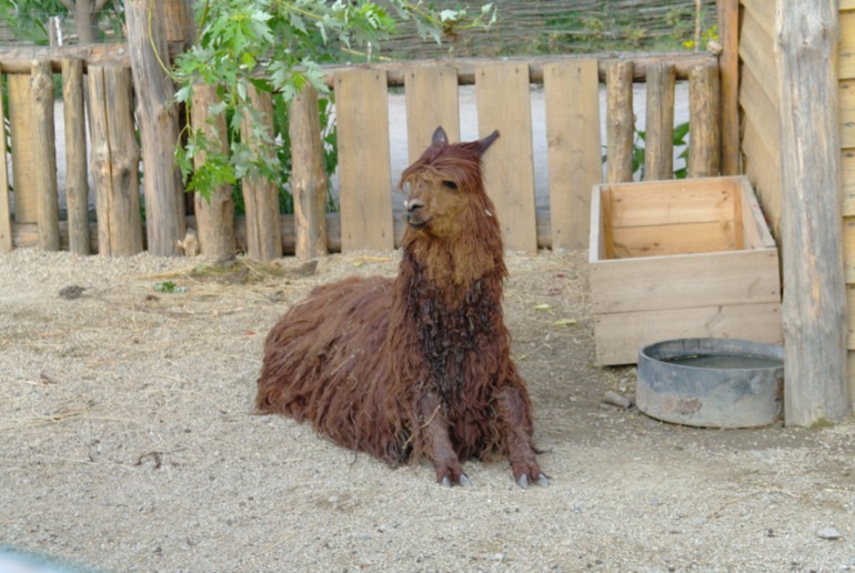 Бердянск, как и где правильно отдыхать!