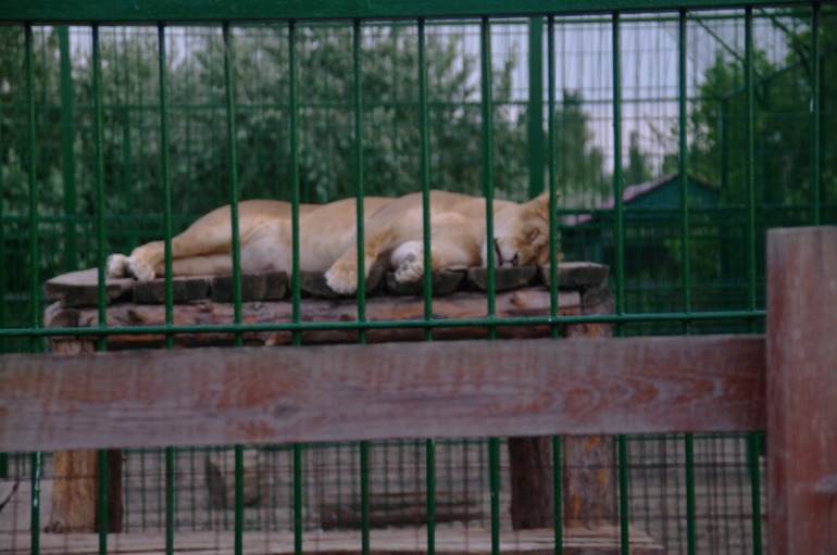 Бердянск, как и где правильно отдыхать!