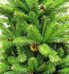 Кто еще не успел купить елочку?