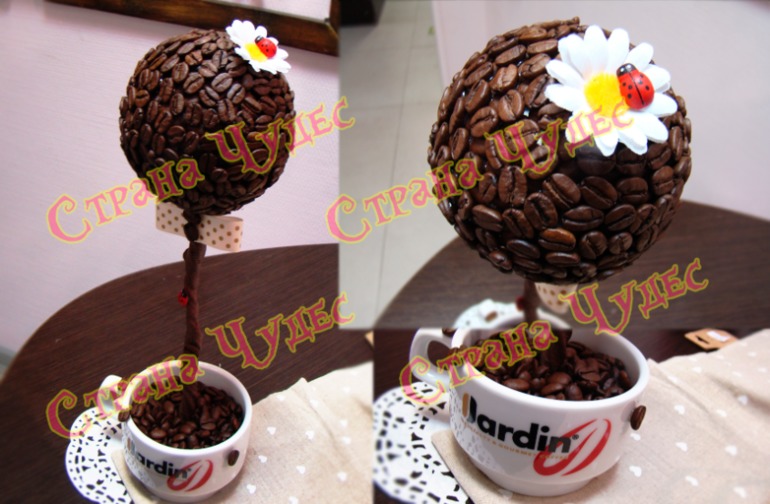 Кофейные и не только.... Ищут своих Хозяев!