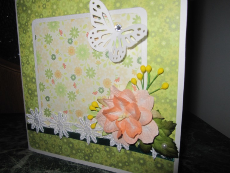 Моя первая ...