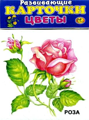 Развивающие карточки Сказ 10 наборов 500 р.