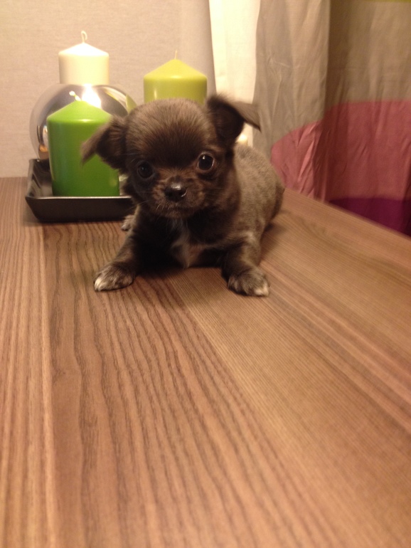 Актировка у малышей)